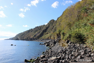 Miuccio